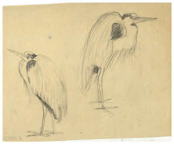 Visualizza l'immagine "FD D 1917"